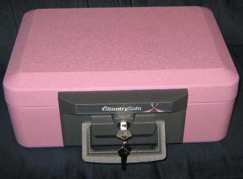 Pink 1100 Fire-Safe Chest