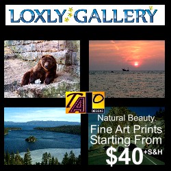 Loxly Gallery – Review & Giveaway