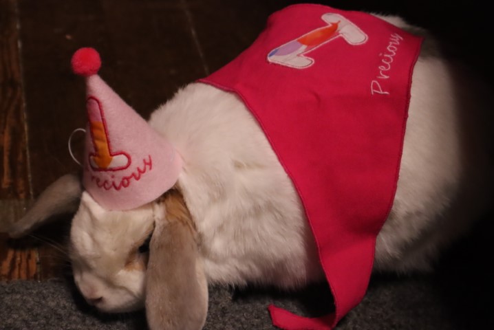 Precious in her birthday hat