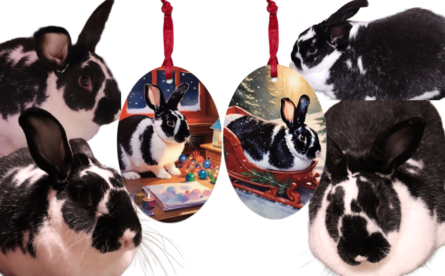 Wordless Wednesday: Creating a Christmas Ornament of my Rabbit, Pixel