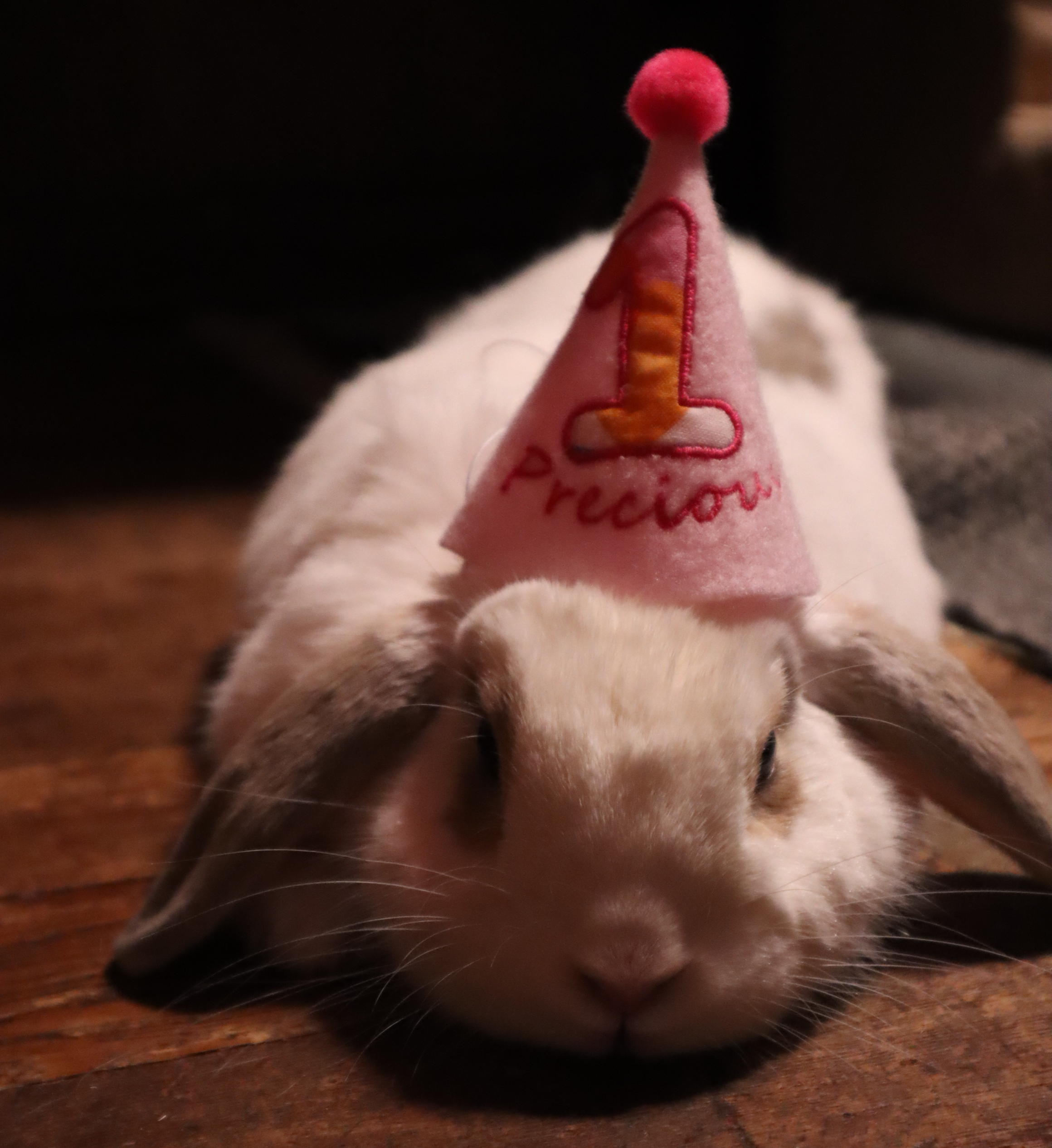 (Not So) Wordless Wednesday: Precious’ 1st Birthday